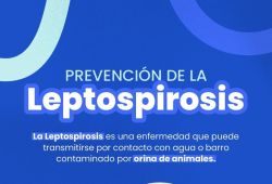 ¡PREVENGAMOS LA LEPTOSPIROSIS!