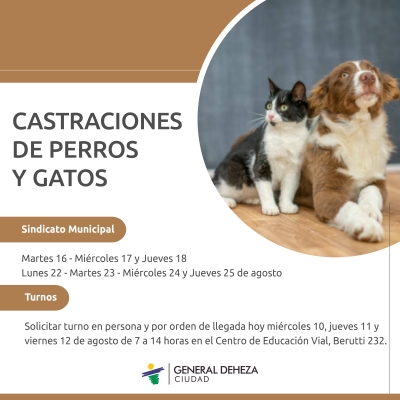 CASTRACIÓN DE PERROS Y GATOS