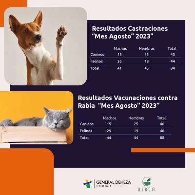 INFORME DE CASTRACIONES AGOSTO 2023.