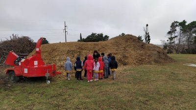 VOLVIERON LOS CHICOS AL COMPLEJO AMBIENTAL