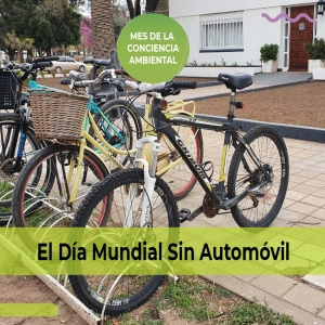 DÍA MUNDIAL SIN AUTOMÓVIL