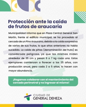 PLAZA CENTRAL. TRANSITEMOS CON PRECAUCIÓN.