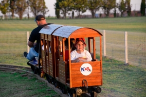 Paseo en Tren