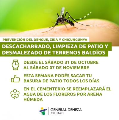 CAMPAÑA DE DESCACHARRADO Y LIMPIEZA DE PATIO.