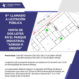 8vo. LLAMADO A LICITACIÓN PÚBLICA.