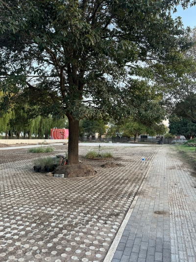 PLAZA 208 PUESTA EN VALOR E ILUMINACIÓN.