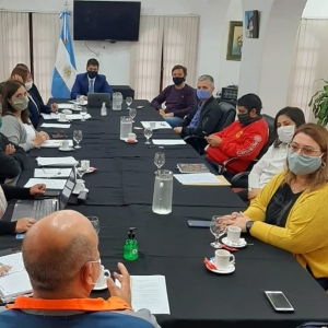 REUNIÓN DEL COMITÉ DE EMERGENCIA SANITARIA LOCAL.