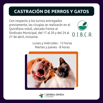 CASTRACIÓN DE PERROS Y GATOS.