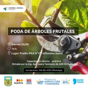 PODA DE ÁRBOLES FRUTALES.