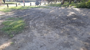 MANTENIMIENTO EN EL POLIDEPORTIVO MUNICIPAL.