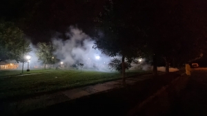 NUEVA FUMIGACIÓN CONTRA MOSQUITOS.