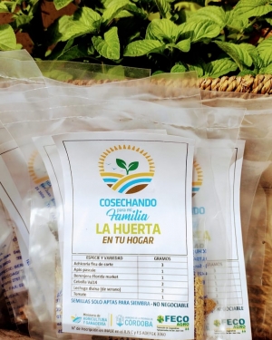 LA HUERTA EN TU HOGAR.