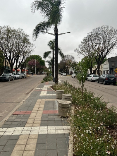 PRIMAVERA EN GENERAL DEHEZA.