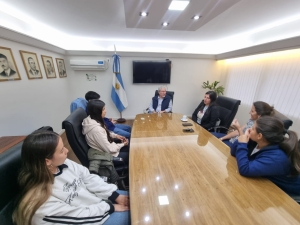 PROYECTO TENDIENDO PUENTES DIGITALES