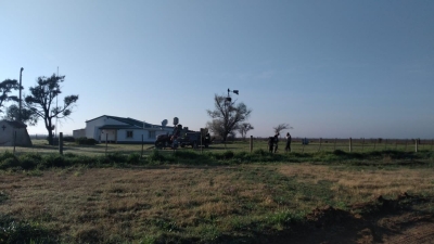 FORESTACIÓN EN GENERAL DEHEZA