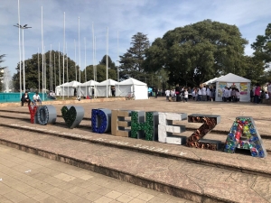 DÍA MUNDIAL DEL MEDIO AMBIENTE.