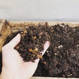 AYUDANDO AL MEDIOAMBIENTE.