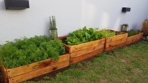 PROGRAMA "MI HUERTA"