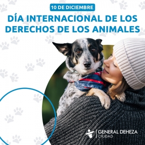 POR LOS ANIMALES