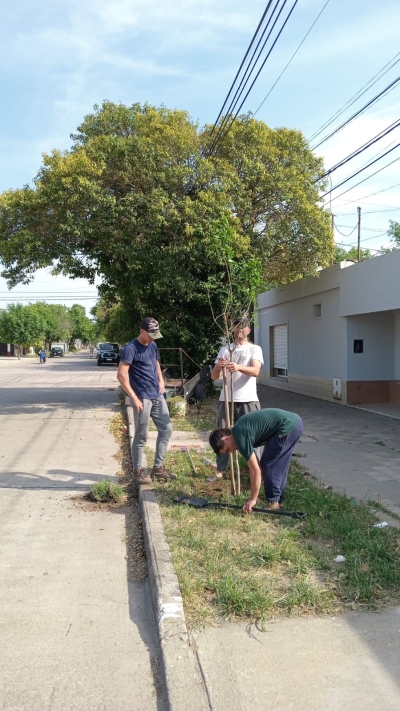 CONTINUAMOS FORESTANDO