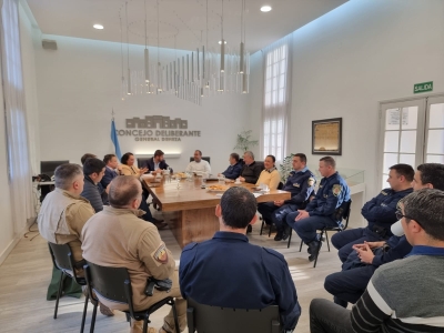 REUNIÓN INTERFUERZAS EN GENERAL DEHEZA.