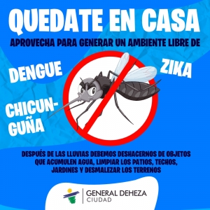 ¡NO AL MOSQUITO!
