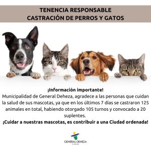 ¡BUEN NÚMERO DE CASTRACIONES!