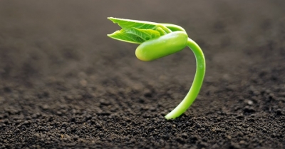 22 DE JUNIO: DÍA MUNDIAL DEL SUELO Y LA TIERRA FÉRTIL.