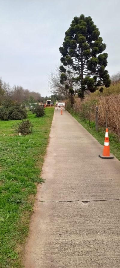 REPARACIÓN DE HORMIGÓN EN CICLOVÍA NORTE