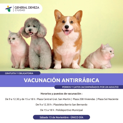 CAMPAÑA ANTIRRÁBICA PARA PERROS Y GATOS.