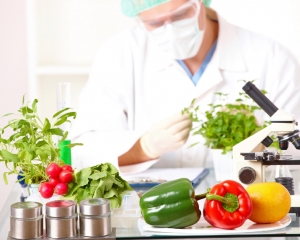 CAPACITACIÓN EN MANIPULACIÓN SEGURA DE ALIMENTOS.