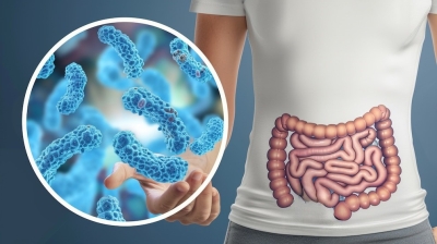 TRIQUINOSIS - CONTROLES SANITARIOS Y BROMATOLÓGICOS
