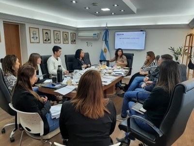 CAPACITACIÓN DE RIL - RED DE INNOVACIÓN LOCAL, SOBRE CIUDADES POR LA SEGURIDAD