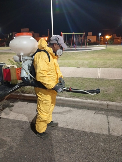 FUMIGACIÓN CONTRA MOSQUITOS