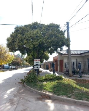 CAMPAÑA DE PODA.