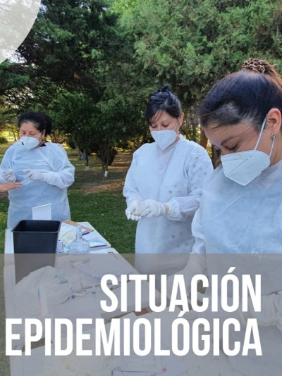 Situación Epidemiológica