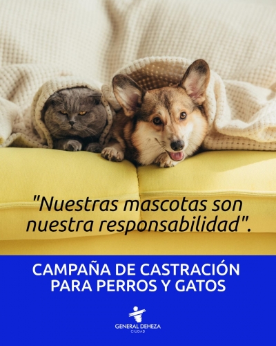 CASTRACIÓN DE PERROS Y GATOS.