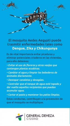 ¡AL MOSQUITO LO ENFRENTAMOS TODOS!