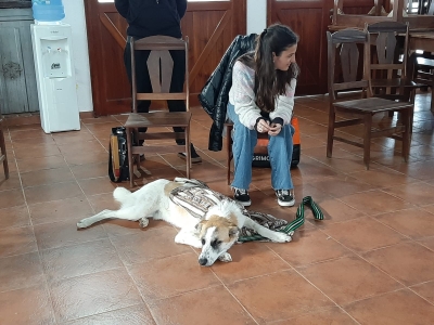 31 DE JULIO - ÚLTIMO DÍA DE CASTRACIONES