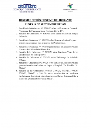 RESUMEN DE LA ÚLTIMA SESIÓN DEL CONCEJO DELIBERANTE .