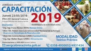 CAPACITACIÓN 2019