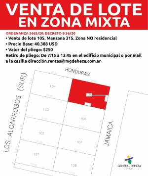 VENTA DE LOTE EN ZONA MIXTA.