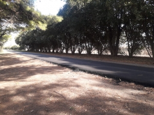 CICLOVÍA GENERAL DEHEZA HACIA EL SUR.