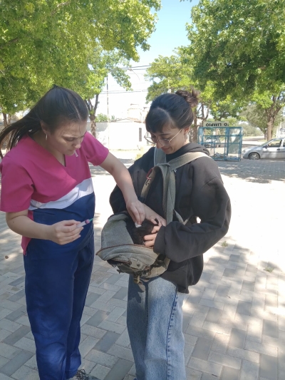 RESULTADOS DE LA VACUNACIÓN ANTIRRÁBICA PARA PERROS Y GATOS